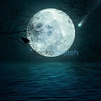 Gece - Gökyüzü - Uzay